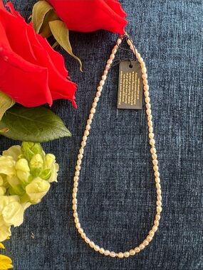 14K Gold-Filled Freshwater Pearl Beaded Necklace - Cream Pearlescent